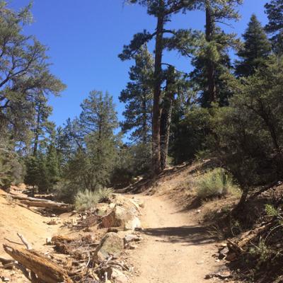 المستوي الثاني - المقدمة