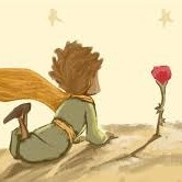 Little Prince - Section 1