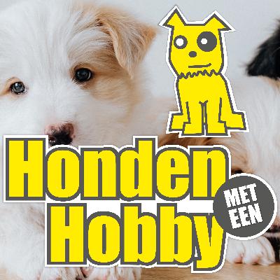 Goedkoop is duurkoop