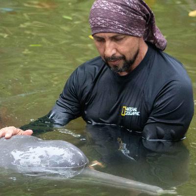The Story presents: Planet Hope - Omacha, ‘the dolphin who became a man’