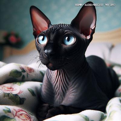 ASMR - Время уборки. Звук работы пылесоса