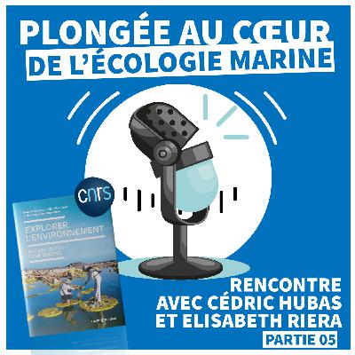 EXPLORER L'ENVIRONNEMENT | Au cœur de l'Écologie Marine [Épisode 05]