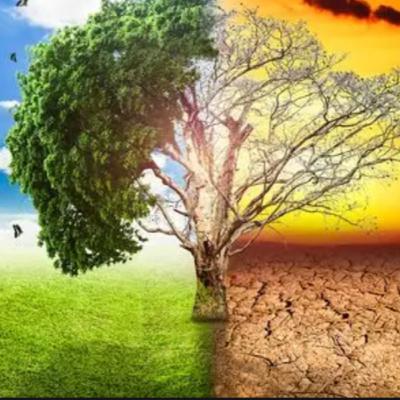 I cambiamenti climatici episodio 4