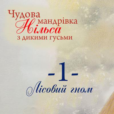 Чудова мандрівка Нільса з дикими гуськи. 1 розділ. СОВА ОК