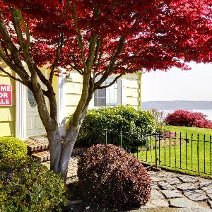 Seasonal patterns in the housing market