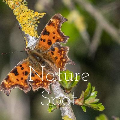 S1 E23 - being happy with where you are