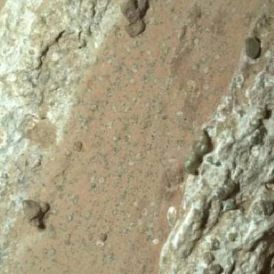 ¿Hay vida en Marte? El gran hallazgo de Perseverance