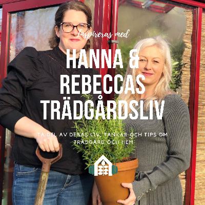 Poddavsnitt 145 – Groddar, skott & materialval Poddavsnitt 145 – Groddar, skott & materialval