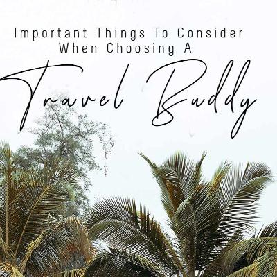 Important Things To Consider when choosing a Travel Buddy
