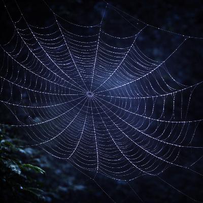 The Spider’s Web (Part 5/5) | Carrying the Verse Forward The Spider’s Web (Part 5/5) | Carrying the Verse Forward