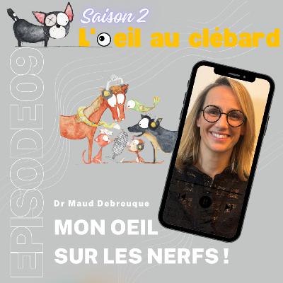 Mon oeil sur les nerfs Mon oeil sur les nerfs