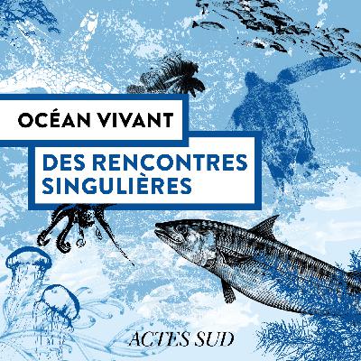 Des rencontres singulières - Océan Vivant - Épisode 3/6
