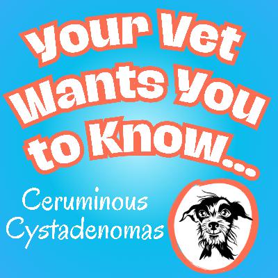 081 Ceruminous Cystadenomas: Little Blueberries All Over Your Cat's Ears