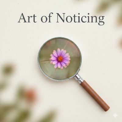 The Art of Noticing