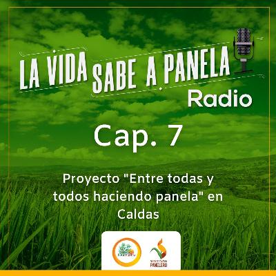 Capítulo 7 - Proyecto "Entre todas y todos haciendo panela" en Caldas Capítulo 7 - Proyecto "Entre todas y todos haciendo panela" en Caldas