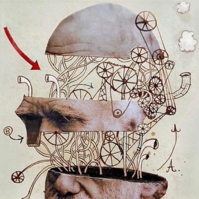 EL ESTUDIO DE LAS BASES BIOLÓGICAS DE LA CONDUCTA Y SUS PROCESOS MENTALES