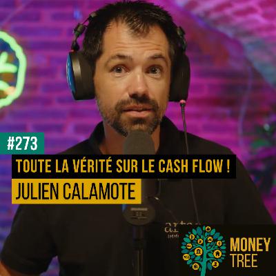 #273 - Toute la vérité sur le cash flow ! [CAPS REPLAY]