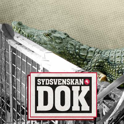 Jättekrokodilen i villaträdgården Jättekrokodilen i villaträdgården