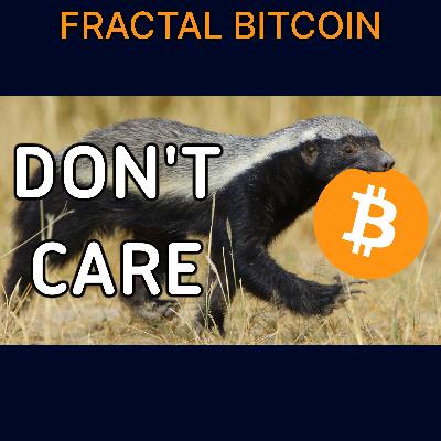 Will Institutional Adoption Ruin Bitcoin? Orange Honey Badger Don’t Care - Ep.263