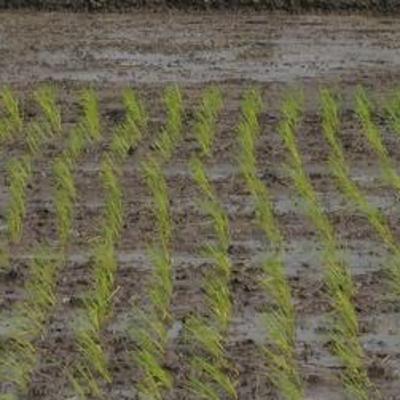 SLAPPER HORROR DI PENDAKIAN DAN BUKIT SLAPPER HORROR DI PENDAKIAN DAN BUKIT