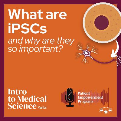 What Are iPSCs—and Why Do They Matter?