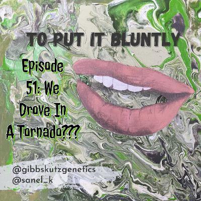 We Drove In A Tornado????