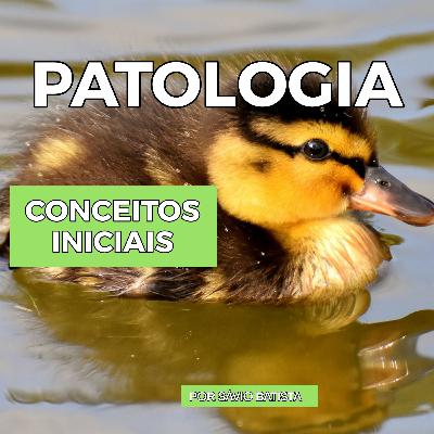 NECROSE PARTE 2 E APOPTOSE