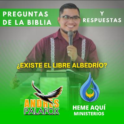 LIBRE ALBEDRÍO ¿QUE ES EL LIBRE ALBEDRÍO? ¿EXISTE EL LIBRE ALBEDRÍO? ESTO DICE LA BIBLIA