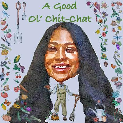 Ep53: A Good Ol' Chit-Chat With... Sophia Gray