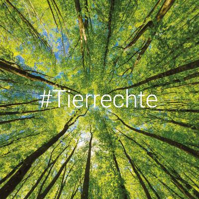 Welche Rechte haben Tiere? Welche Rechte haben Tiere?