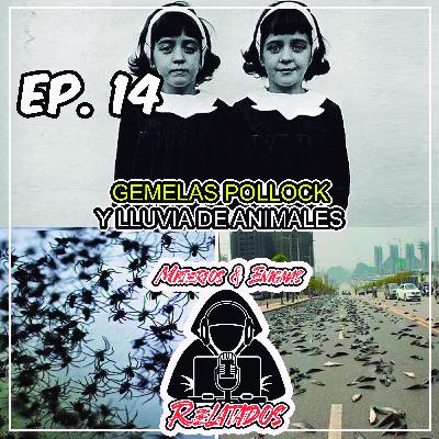 EP.14 GEMELAS POLLOCK /LLUVIA DE ANIMALES (FINAL DE TEMPORADA)