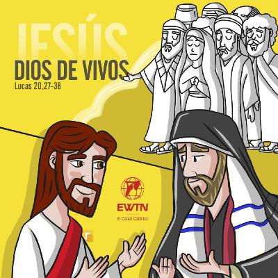 Domingo XXXII T.O: Día de la Iglesia Diocesana