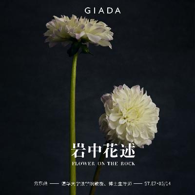 S7E7 鲁豫对话劳东燕 | 敢于面向黑暗，恰因此心光明