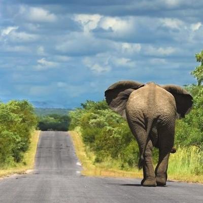 Yo también tengo miedo. Hola soy yo.