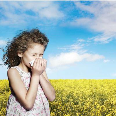 Allergy, Hypersensitivities, and Chronic Inflammation( immunology part 15) Allergy, Hypersensitivities, and Chronic Inflammation( immunology part 15)