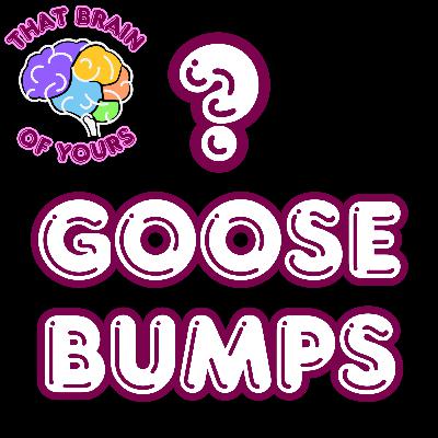 Does Music Gives You Chills? Does Music Gives You Chills?