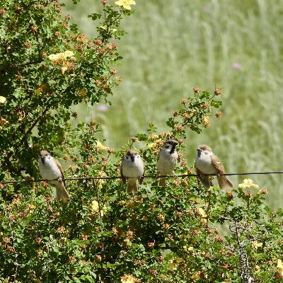 11 ChitChat Book Review 2025