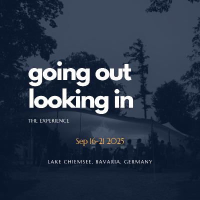 What is going out | looking in - The Experience?