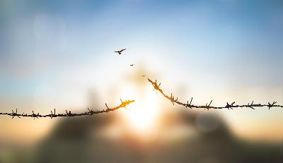 Holocaust survivor Joe Szwarcberg on liberation and telling the truth