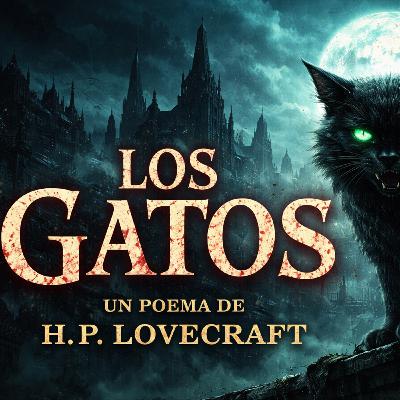 Los gatos Los gatos