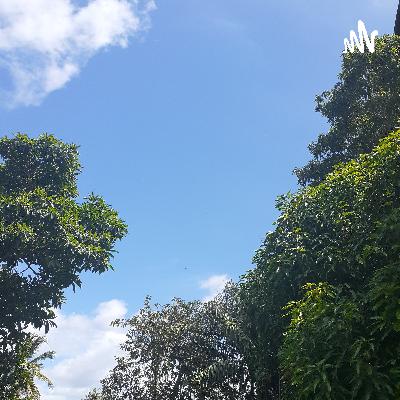Mensagem de motivação.