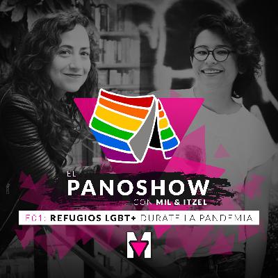 Refugios LGBT+ durante la pandemia Refugios LGBT+ durante la pandemia