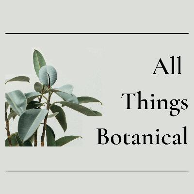 Plant Profiles: Lavender Plant Profiles: Lavender