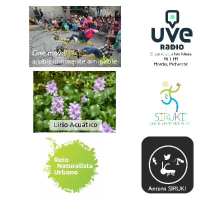 Programa 74-Cine Móvil ambientalmente amigable, Lirio Acuático, Reto Naturalista Urbano.