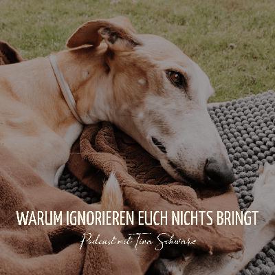 Warum ignorieren euch nichts bringt Warum ignorieren euch nichts bringt