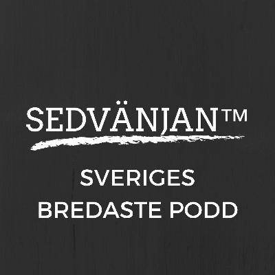 Ett brandtal om robotars rättigheter