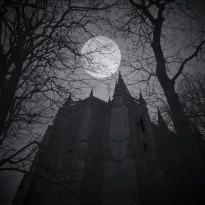 Microrrelato "Tu otro yo" | Milagros Gomez