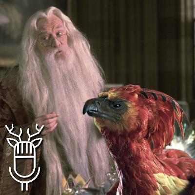 8x03 El de las curiosidades de rodaje (y otras cosas) de Harry Potter