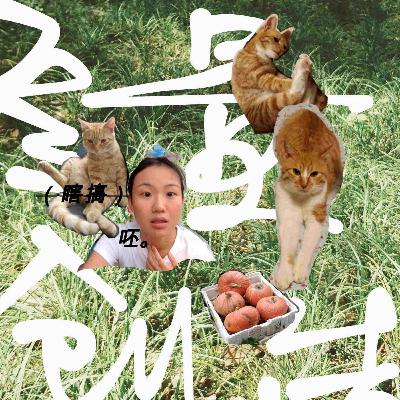 Unpack: 記者｜西武：不再迷戀觀點