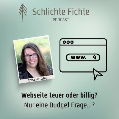 Webseite teuer oder billig?